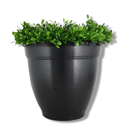 Ovi-Planter-Mosquito-Trap-Catchmaster.webp