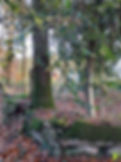20211204_091202.jpg