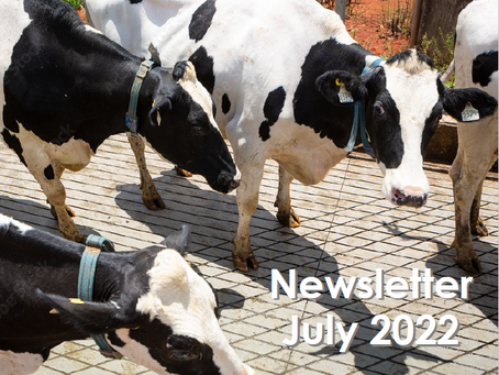 The Penbode Farm Vets July 2022 Newsletter is out now!