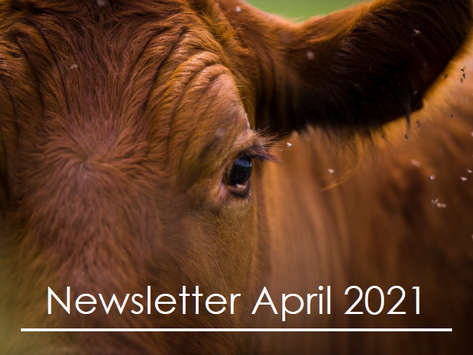 Penbode Farm Vets - Farm newsletters April 2021
