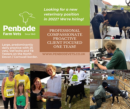 Working at Penbode Farm Vets #2 (1).png