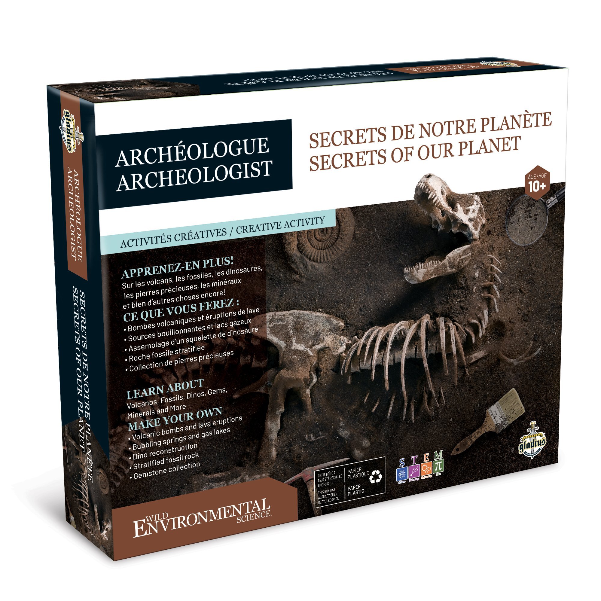 Ensemble de paléontologie - Secrets de notre planète