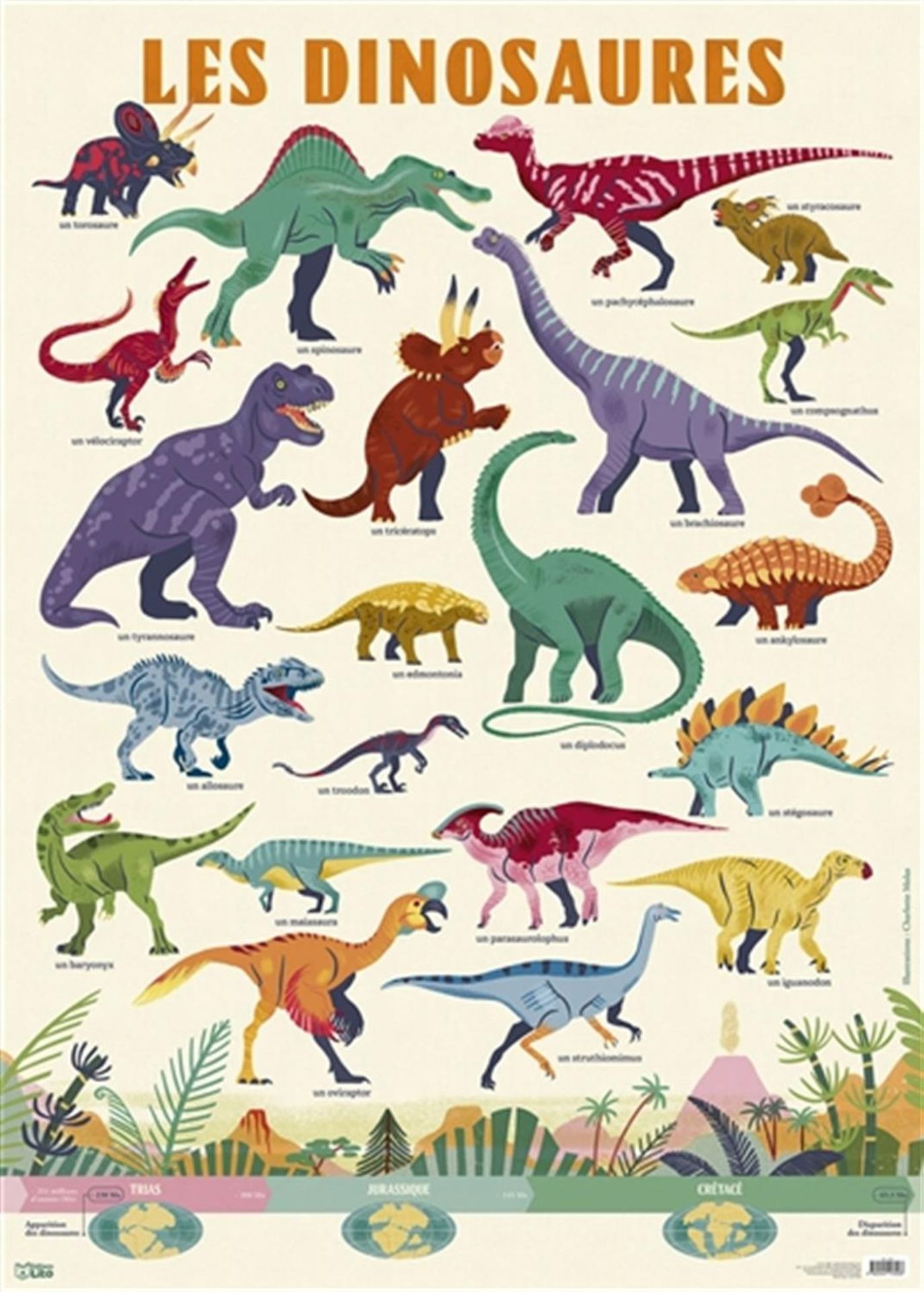 Affiche plastifiée sur les dinosaures