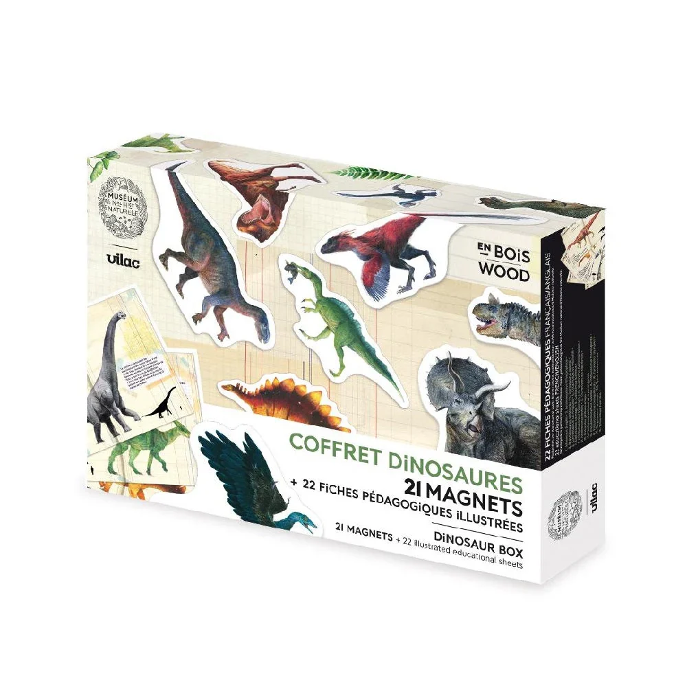 Coffre dinosaures - Fiches et aimants