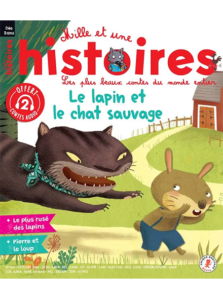 MILLE ET UNE HISTOIRES