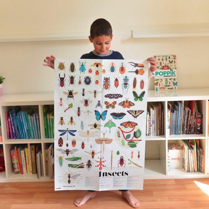 Affiche découverte de l'entomologie et autocollants