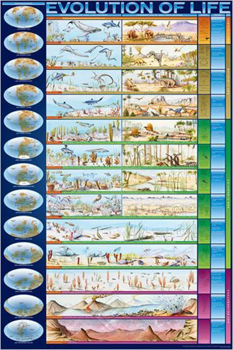 Évolution de la Terre - Affiche