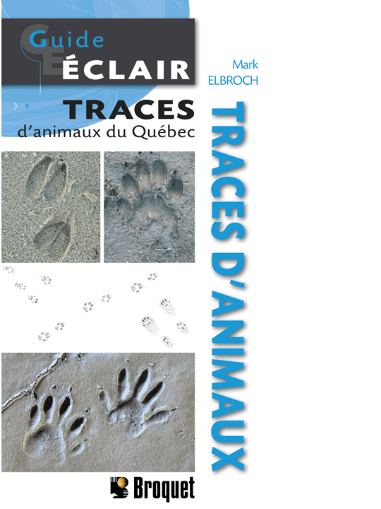 Guide éclair Traces d'animaux