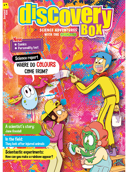DISCOVERY BOX