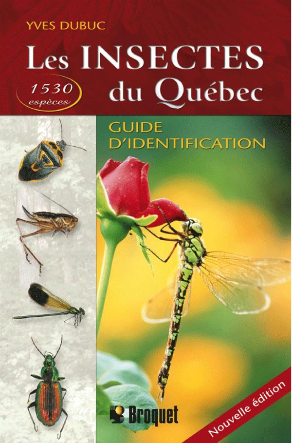 Les insectes du Québec - guide d'identification
