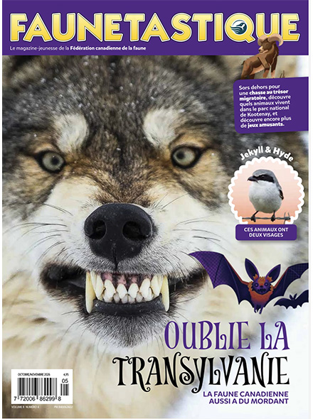 FAUNETASTIQUE