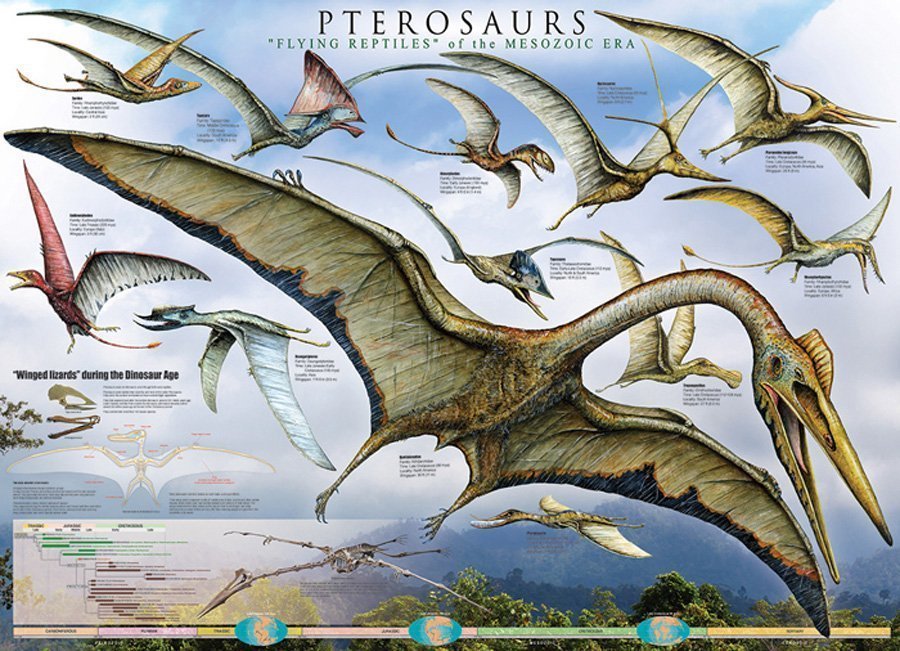 Ptérosaures - Affiche