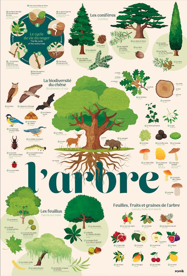 Affiche et autocollants - L'arbre