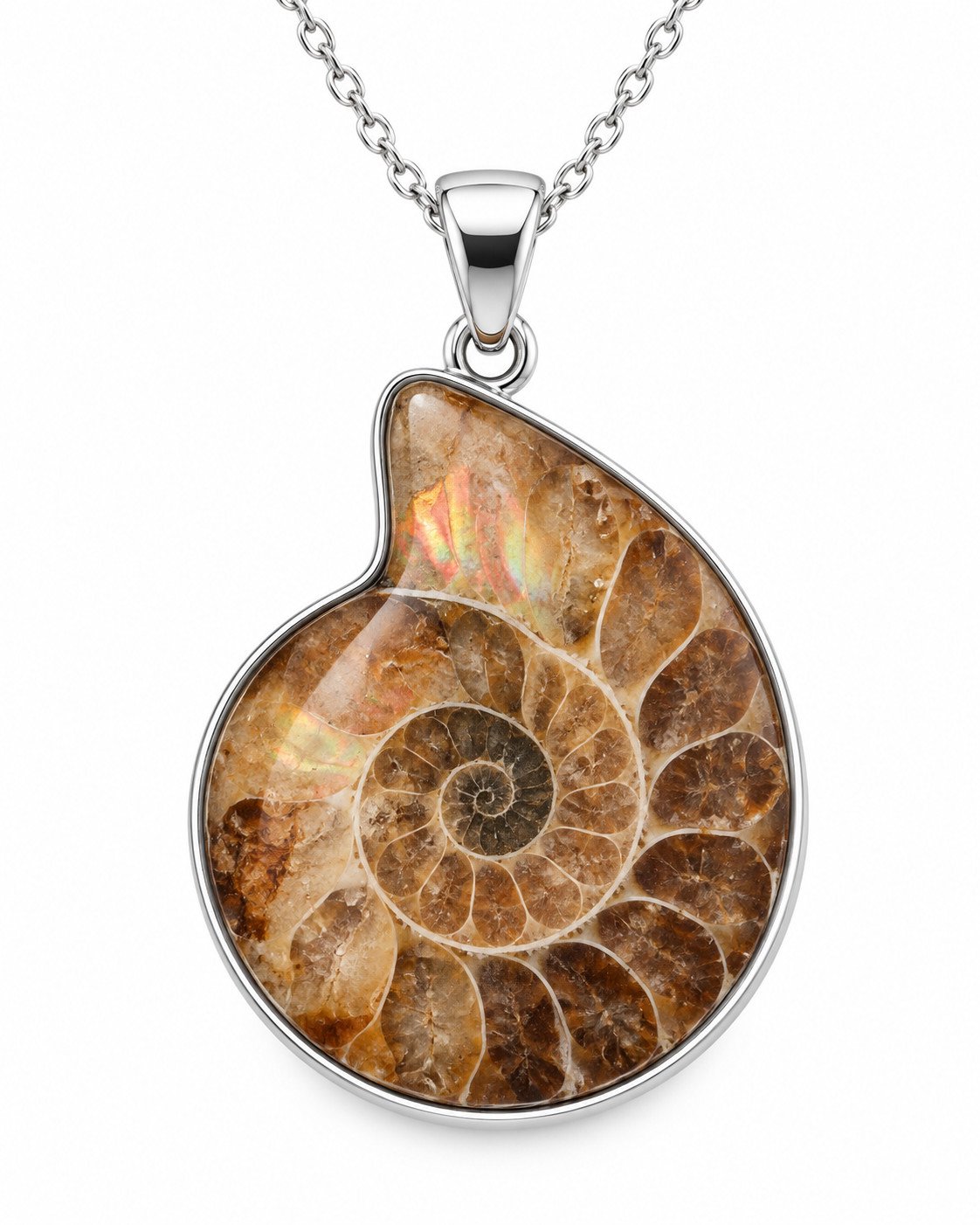 Pendentif ammonite