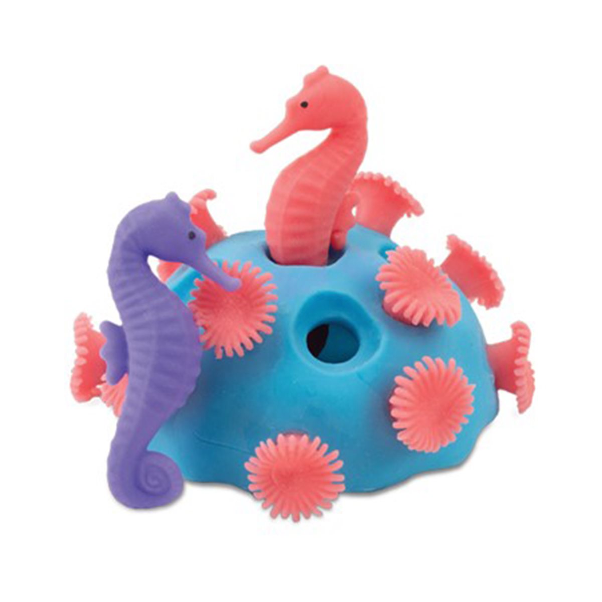 Fidget hippocampes et corail étirables