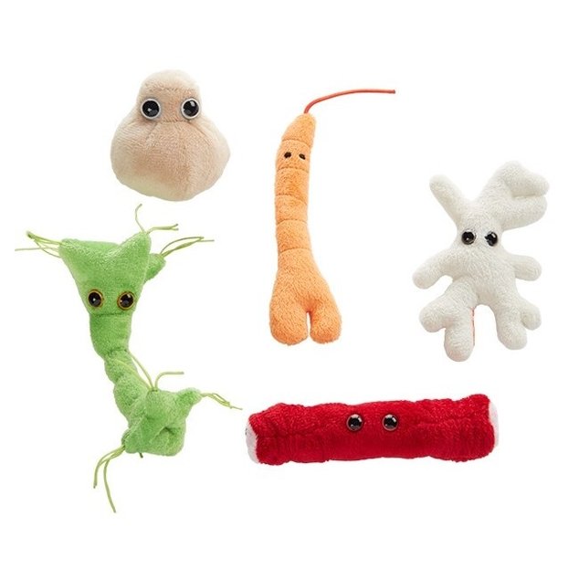 Cellules du corps - Boîte cadeau Microbes géants