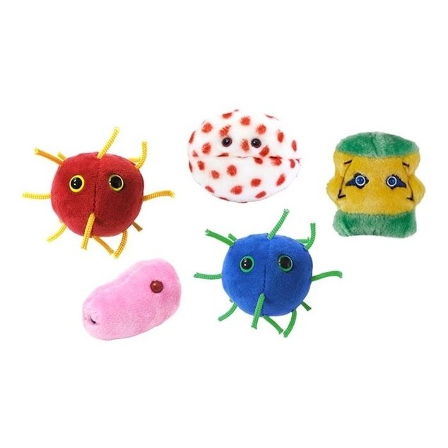 Épidémies du 21e siècle - Boîte cadeau Microbes géants