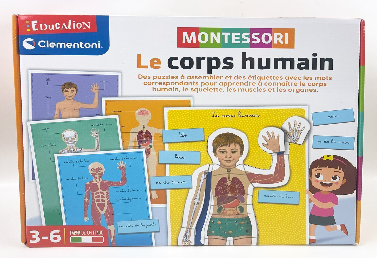 Ensemble de planchettes sur le corps humain Montessori