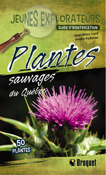 Plantes sauvages du Québec - Guide d'identification Jeunes explorateurs N.É.