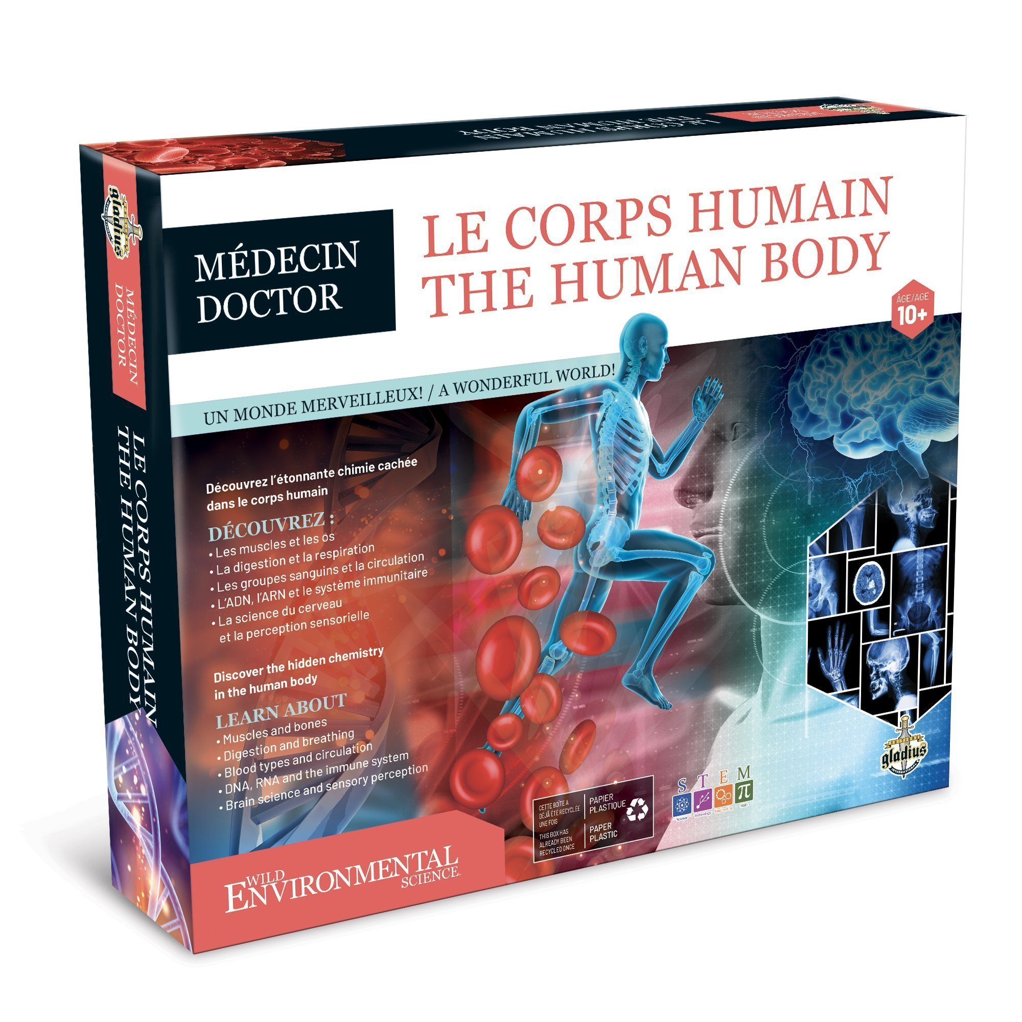 Expériences - Le corps humain