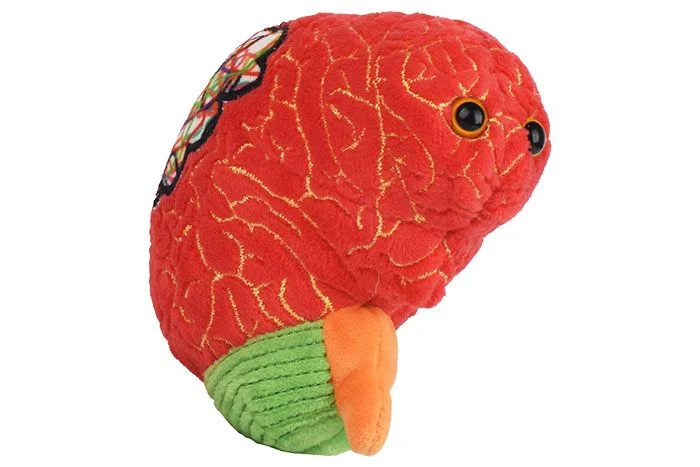 Microbe géant - cerveau TDAH