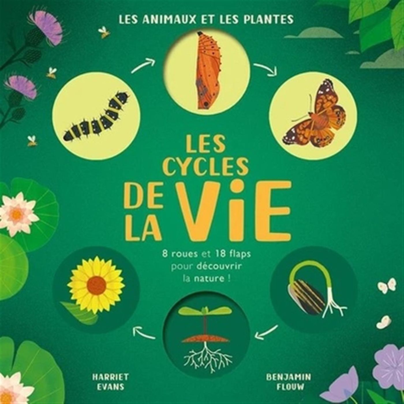 Livre Les cycles de la vie - Les animaux et les plantes