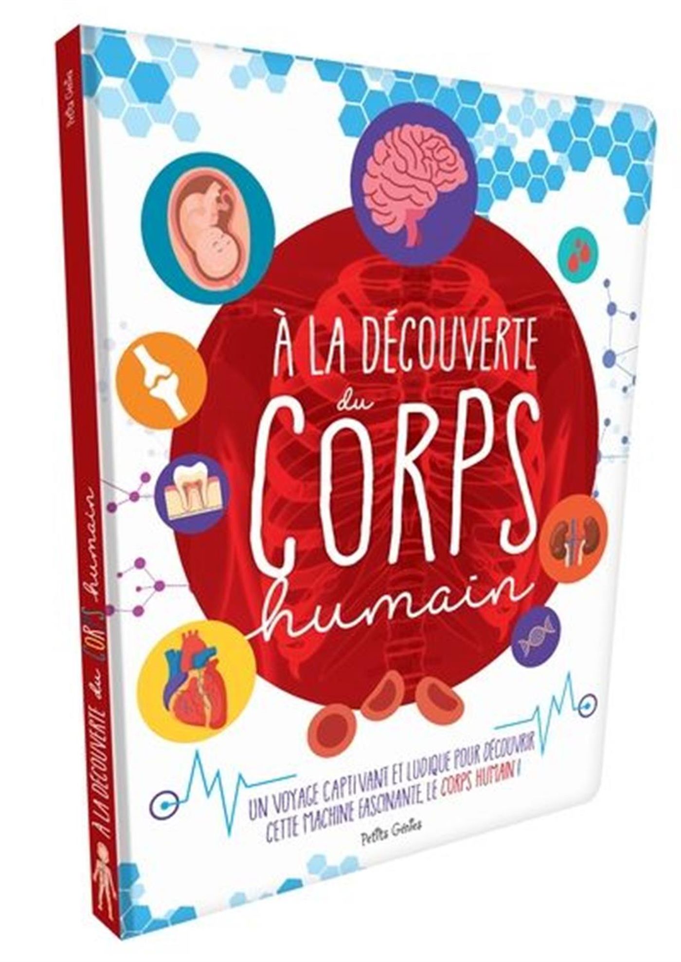 À la découverte du corps humain