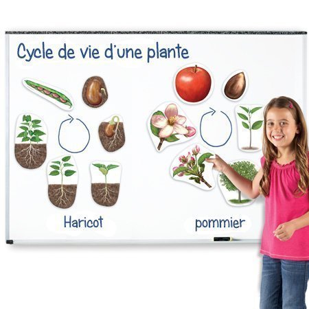 Cycles de vie magnétiques - plantes et animaux