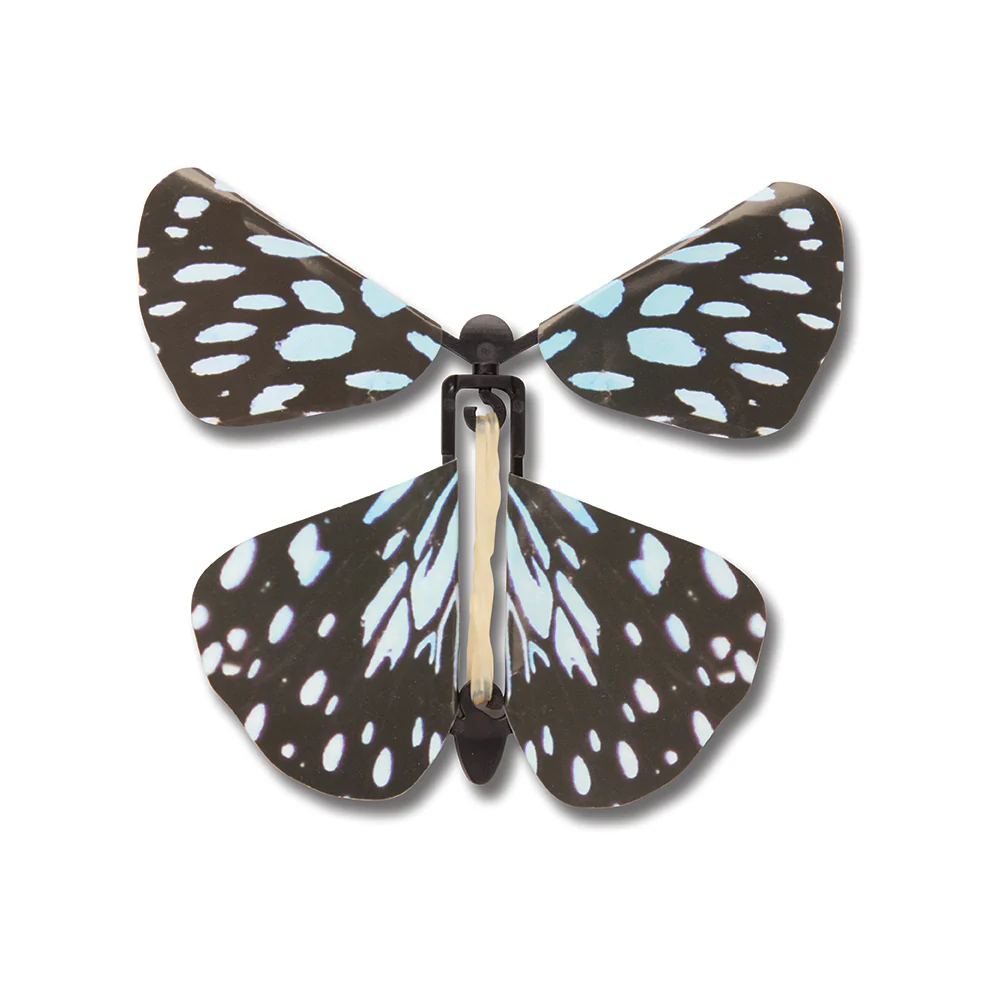 Papillons potentiels