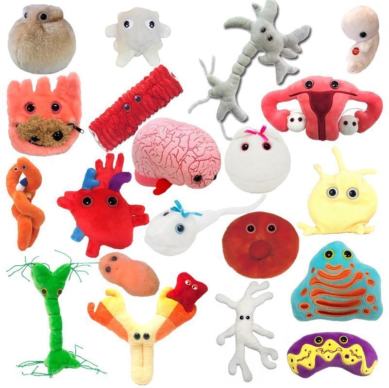 Microbes géants 2 de 3 - cellules du corps