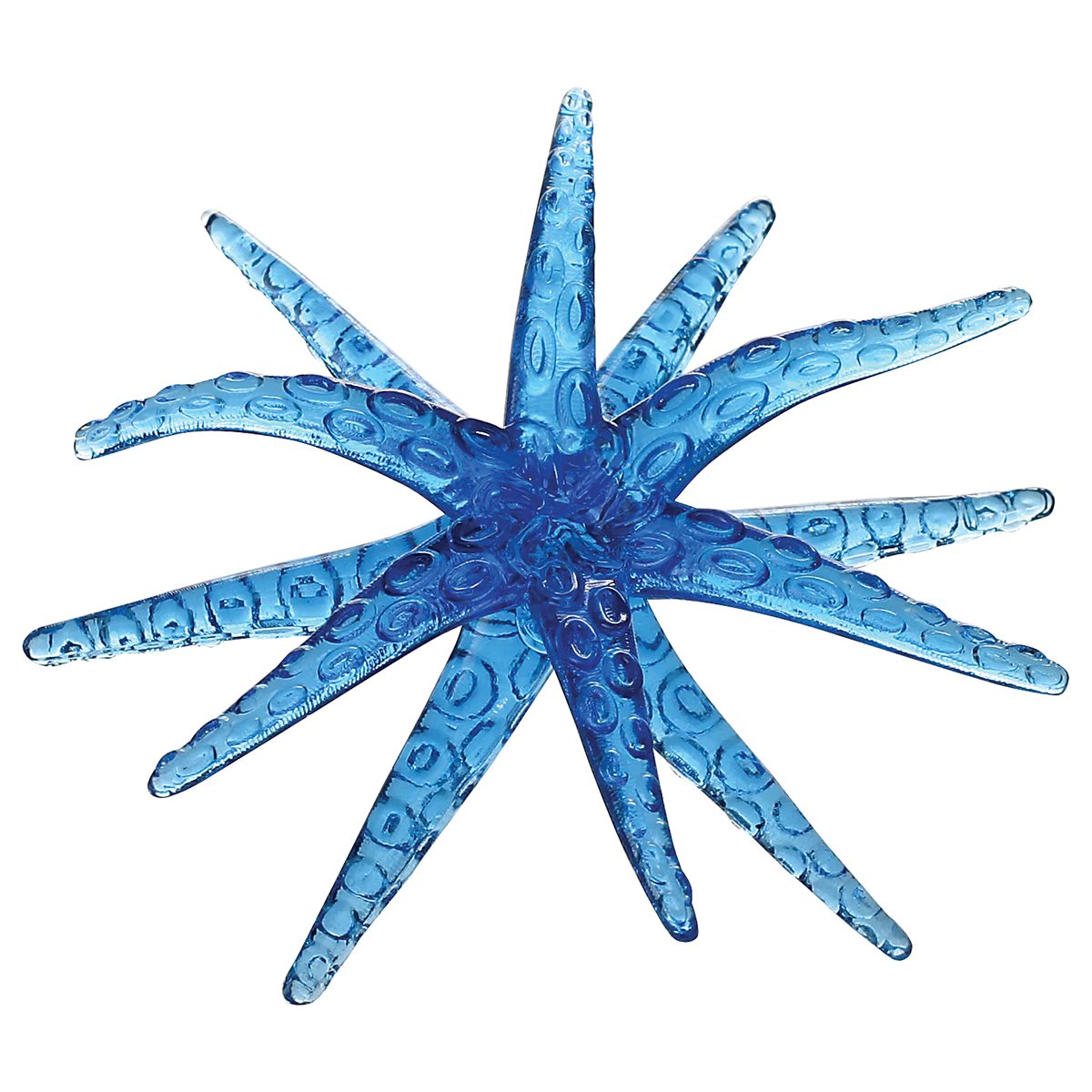 Étoile de mer en mouvement