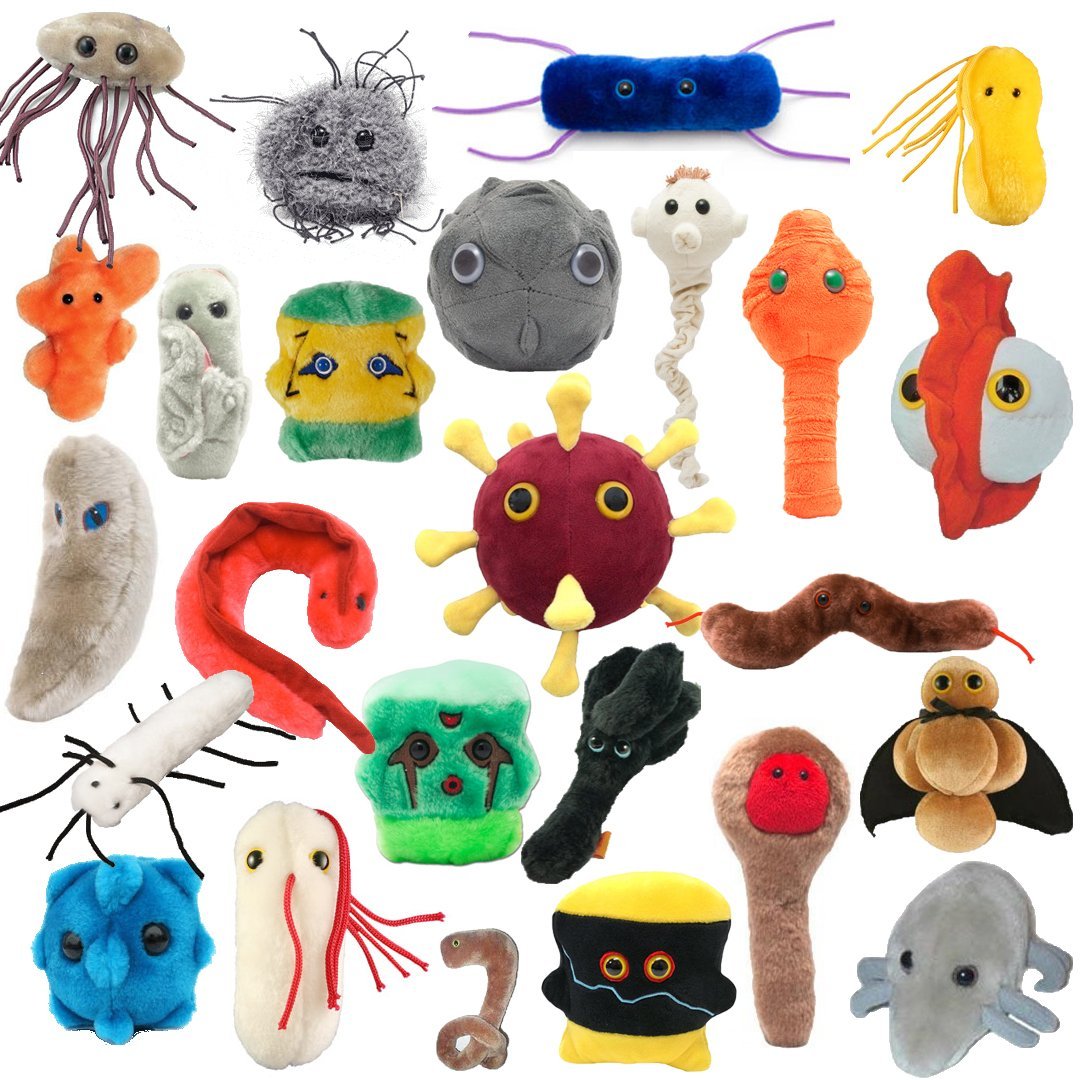 Collection Microbes géants 1 de 3 - Nuisibles et maladies
