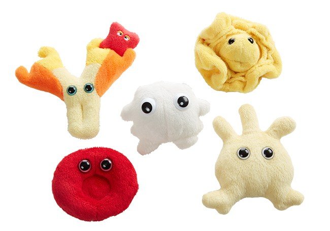 Cellules sanguines - Boîte cadeau Microbes géants