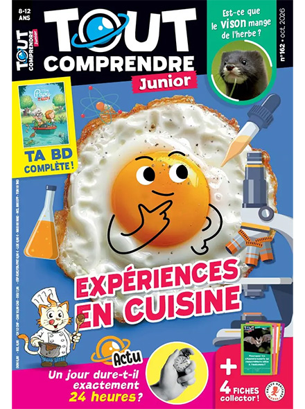 TOUT COMPRENDRE JUNIOR