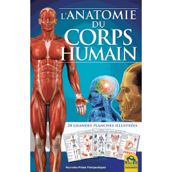 L'anatomie du corps humain