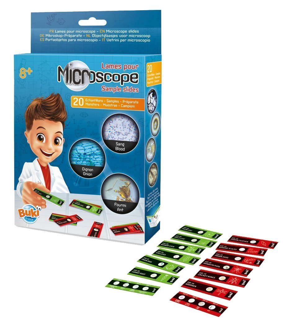 Lames de microscope préparées sécuritaires (en plastique)