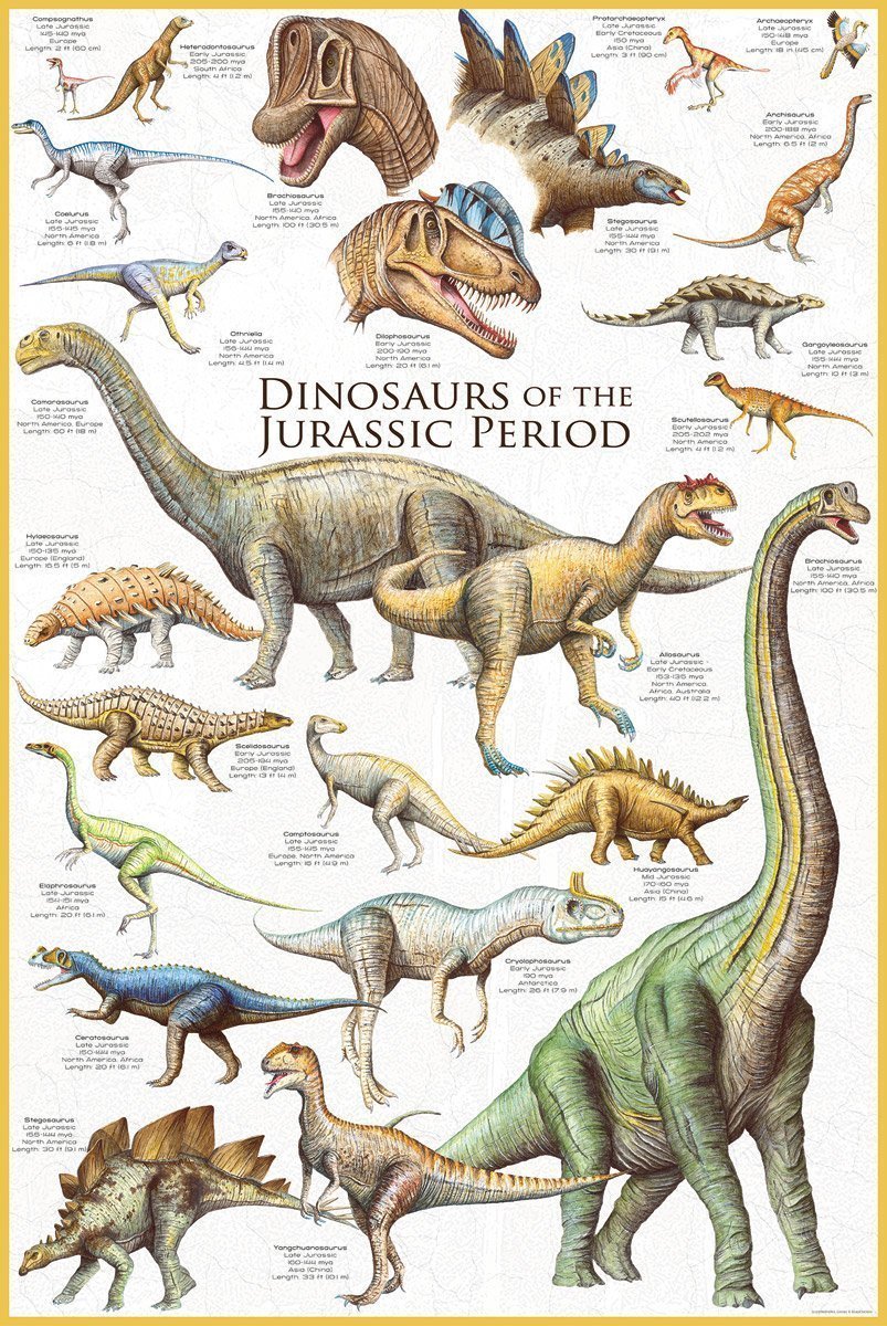 Dinosaures du Jurassique - Affiche
