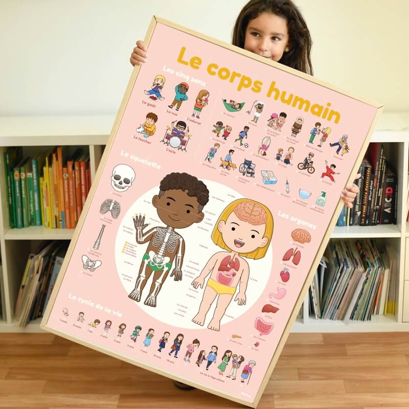 Affiche découverte du corps humain et autocollants