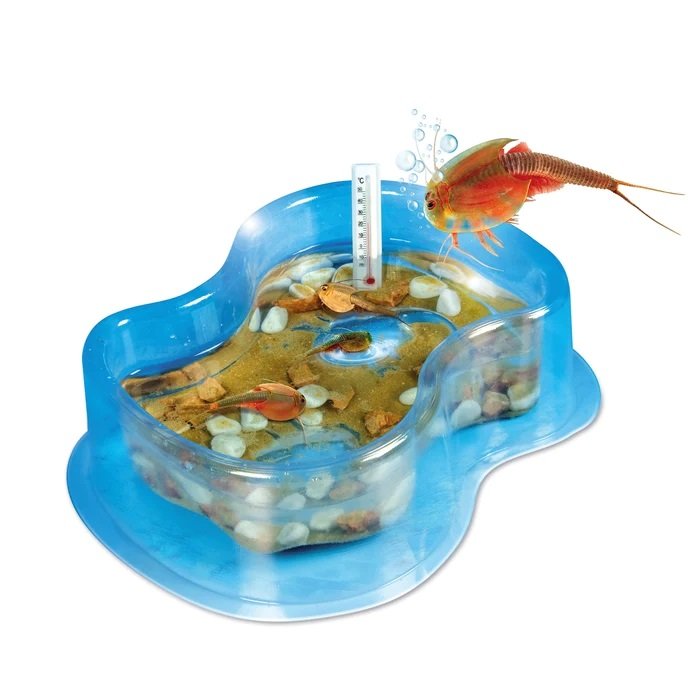 Ensemble pour élever des triops