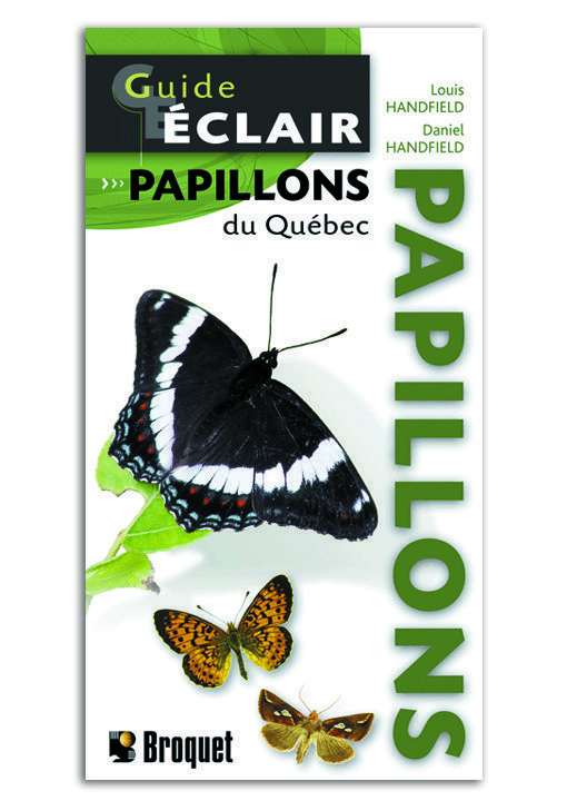 Guide éclair papillons
