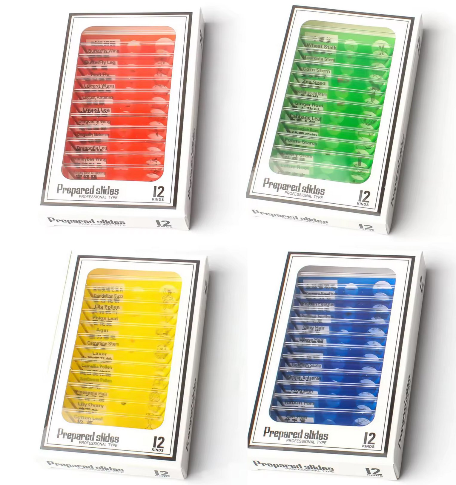Lames de microscope préparées