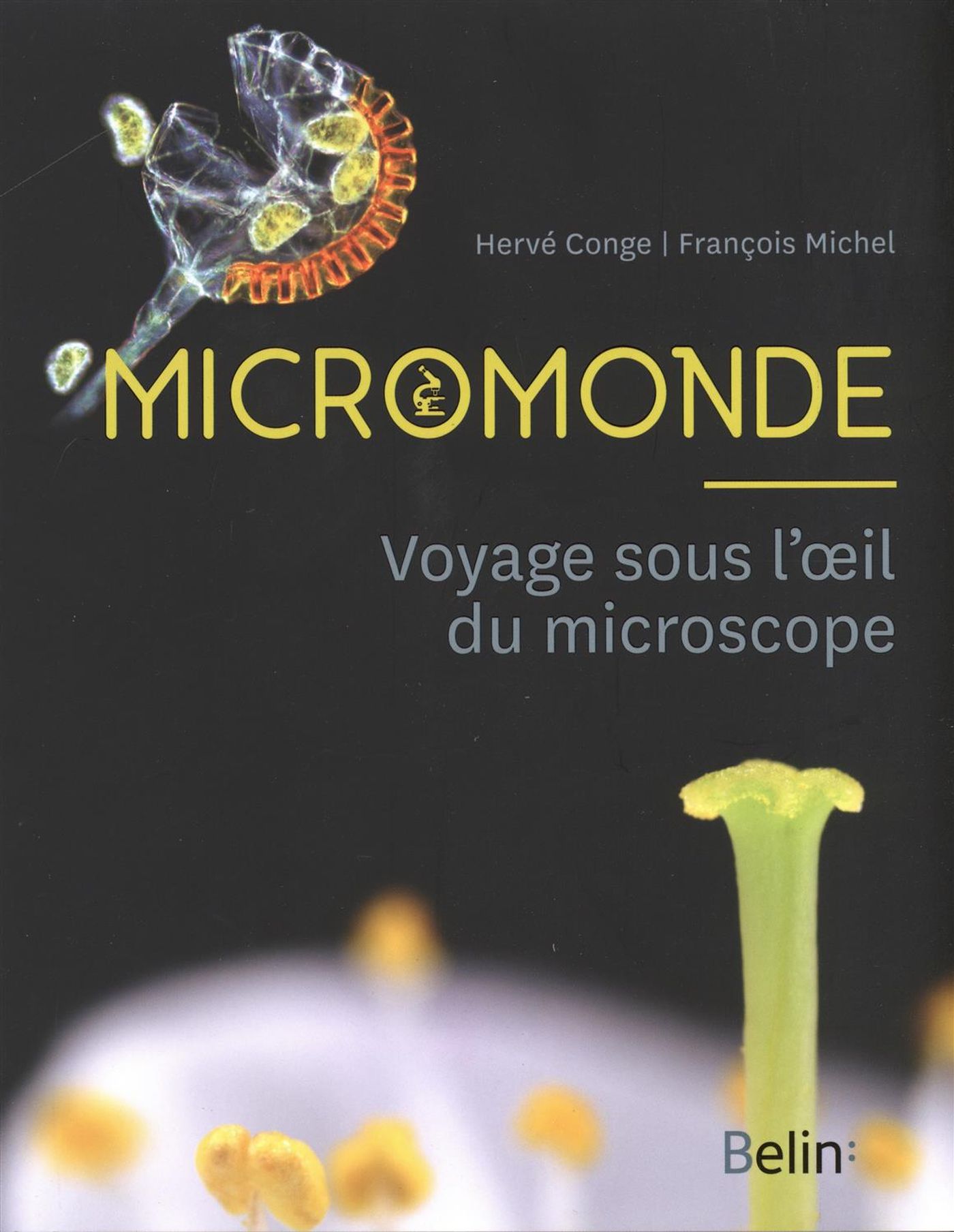 Micromonde : Voyage sous l'oeil du microscope