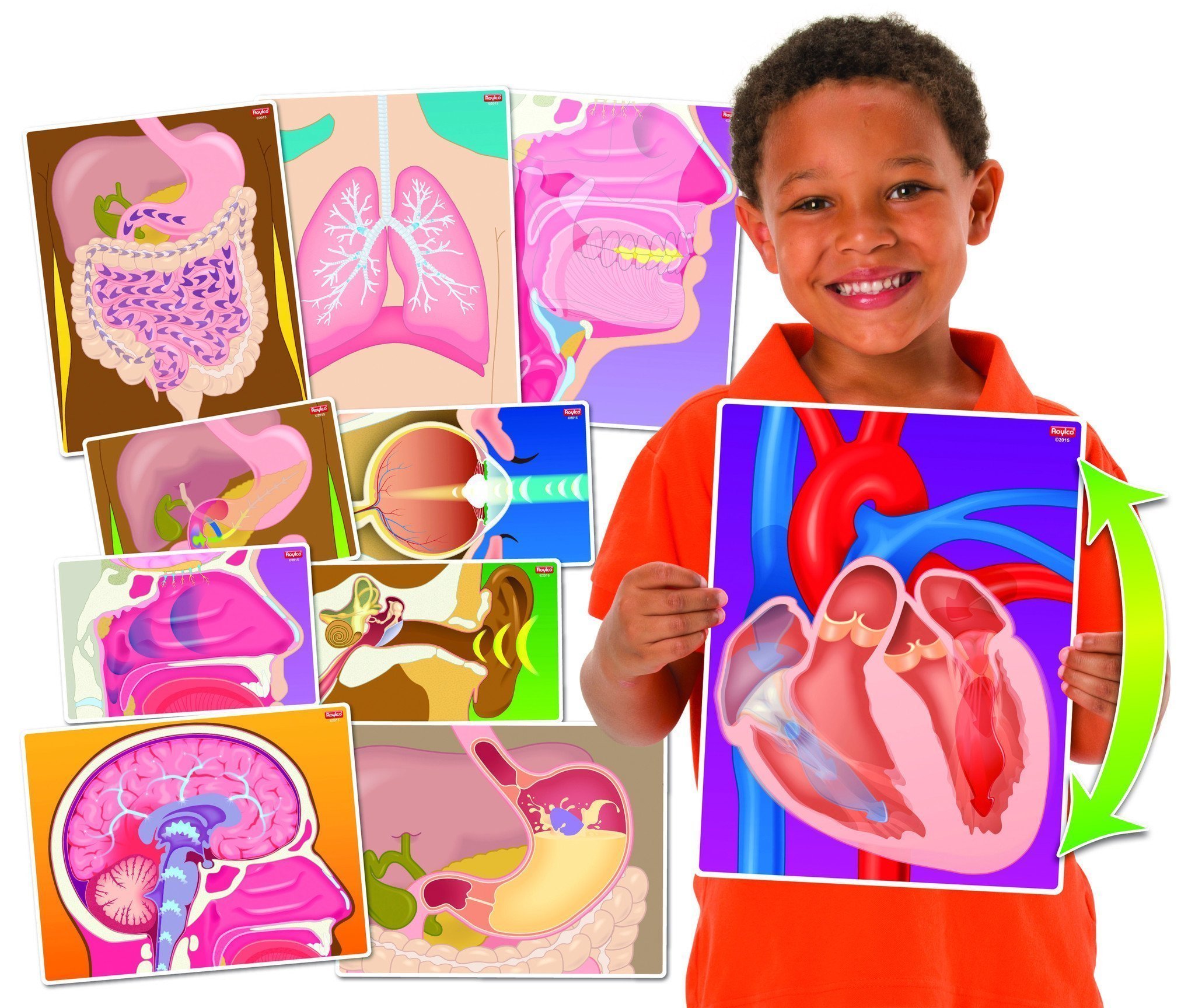 Cartes holographiques du corps humain