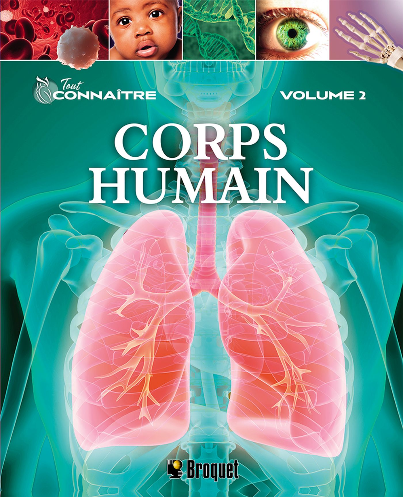 Tout connaître - Corps humain
