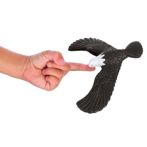 L'incroyable aigle équilibriste
