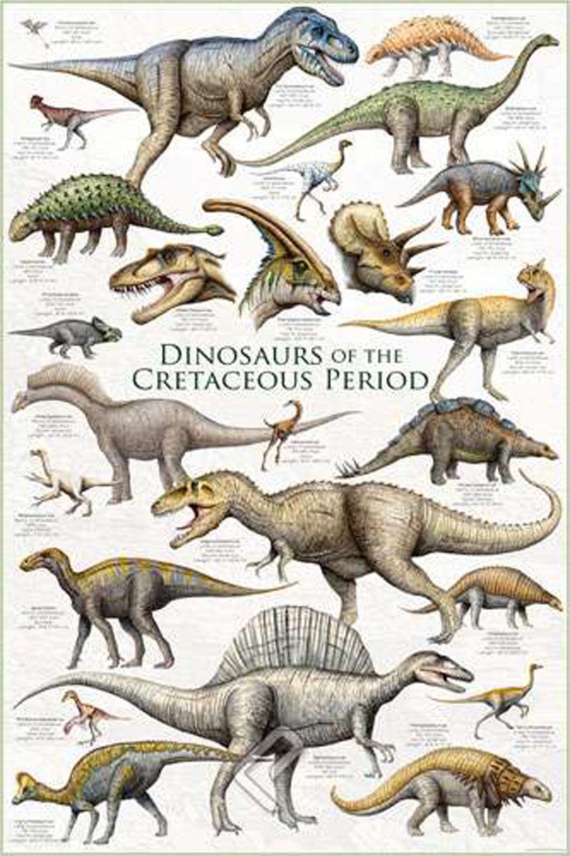Dinosaures du Crétacé - Affiche