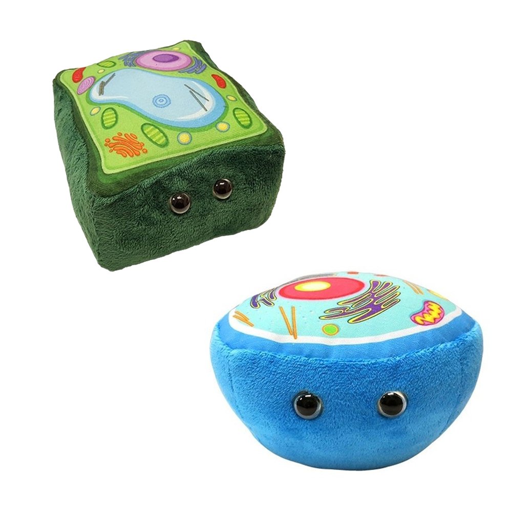 Collection Microbes géants - Cellules - animale et végétale