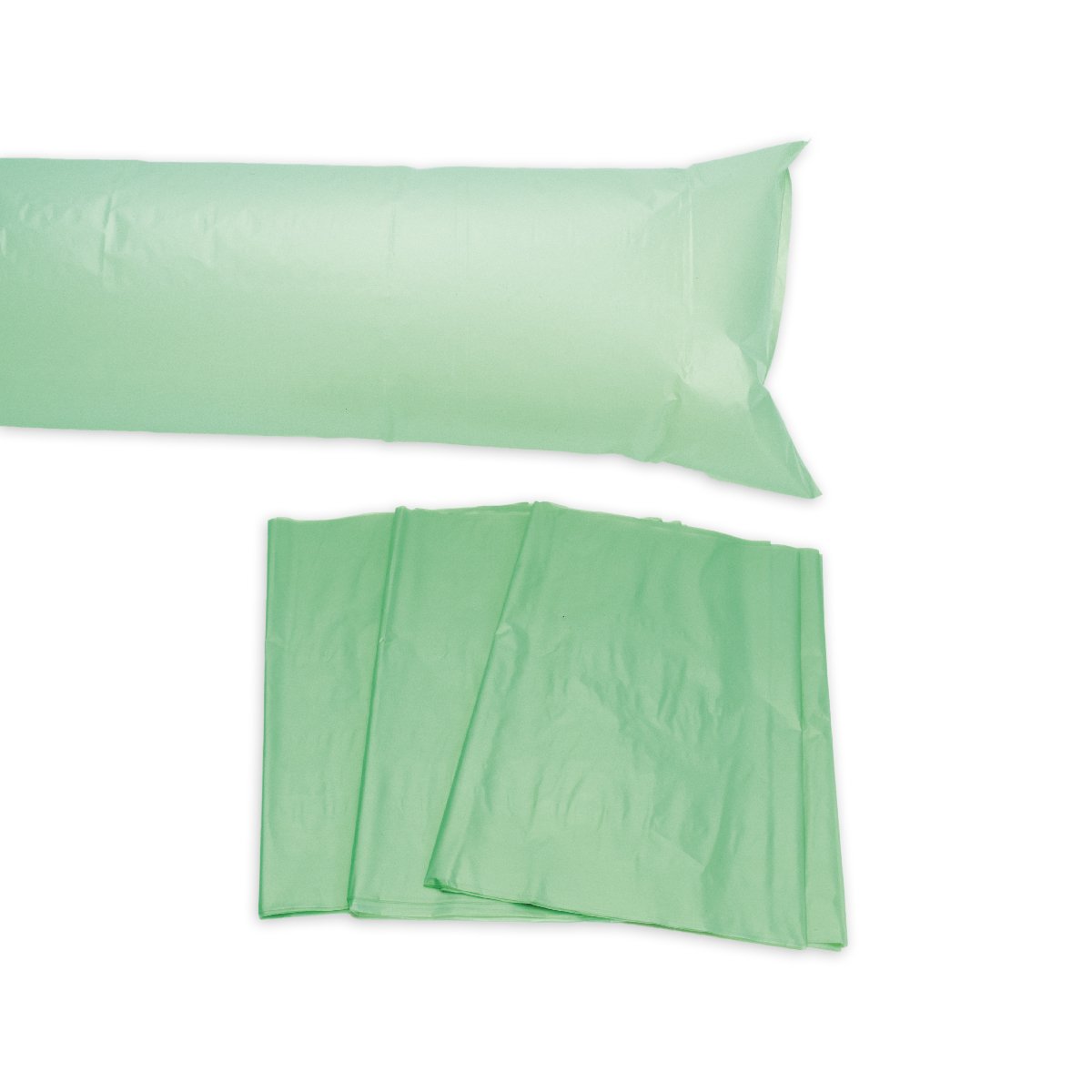 Sacs à souffler de Bernoulli (4)