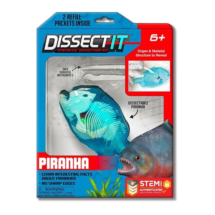 Modèle à disséquer - Piranha