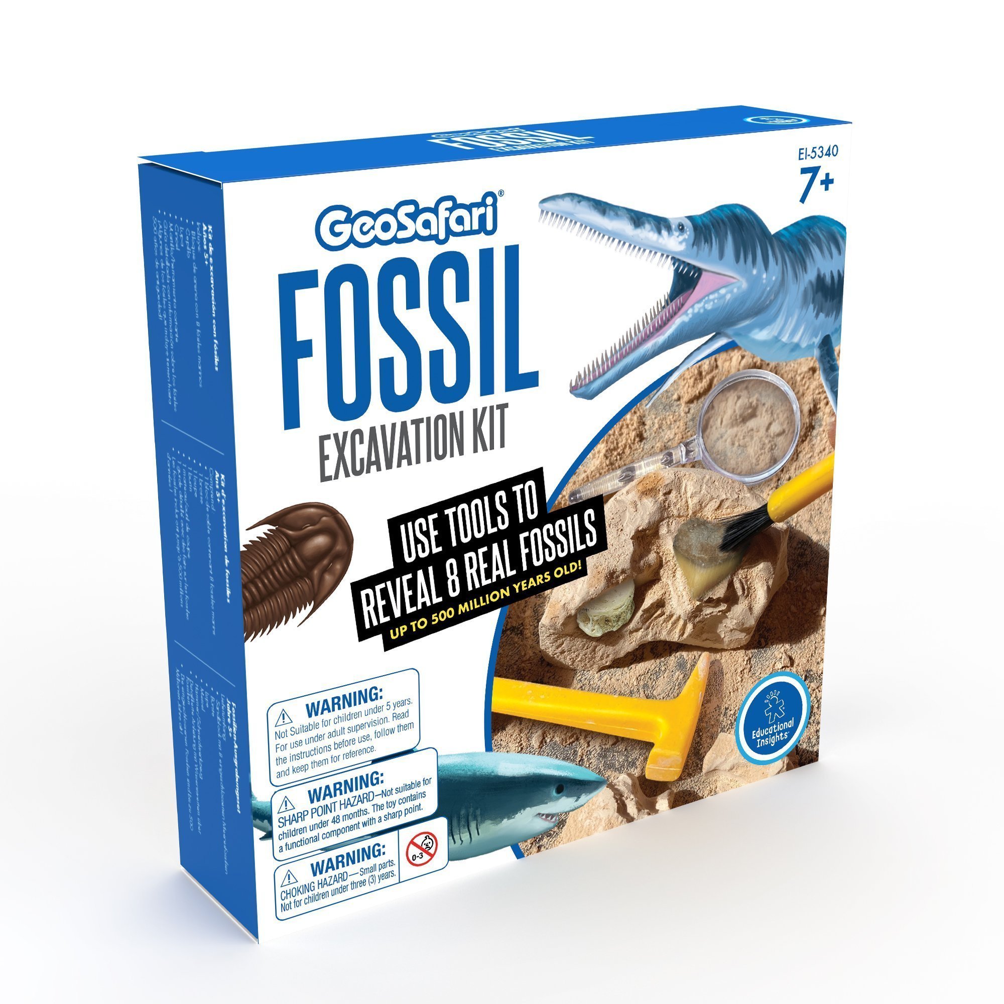 Fossiles à excaver
